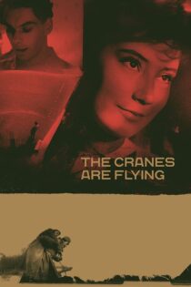 دانلود فیلم The Cranes Are Flying 1957 درناها پرواز می‌کنند